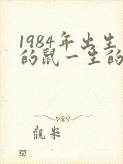 1984年出生的鼠一生的命运如何