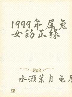 1999年属兔女的正缘封面