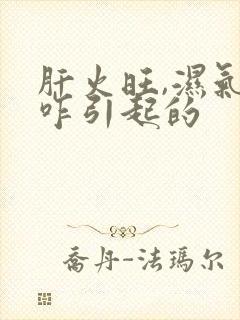 肝火旺,湿气重咋引起的