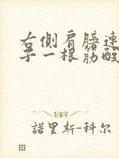 右侧肩膀连着脖子一根筋酸疼摸着会动