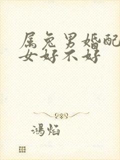 属兔男婚配属蛇女好不好