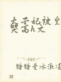 太子妃被皇上c哭高h文