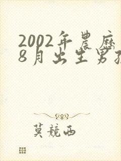 2002年农历8月出生男孩命运