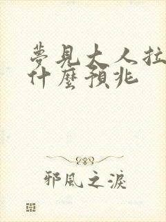 梦见大人拉屎是什么预兆