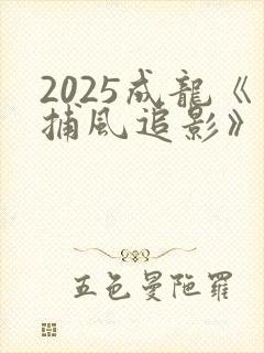 2025成龙《捕风追影》国语版在线观看