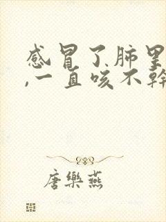 感冒了肺里有痰,一直咳不干净