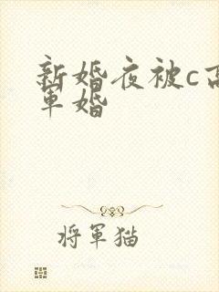 新婚夜被c高h军婚