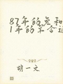 87年的兔和91年的羊合适吗封面