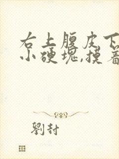 右上腹皮下有个小硬块,摸着痛