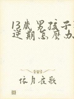 13岁男孩子叛逆期怎么办封面