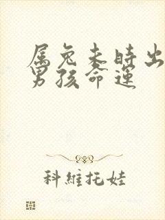 属兔未时出生的男孩命运封面