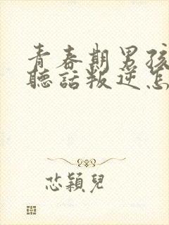 青春期男孩子不听话叛逆怎么应对