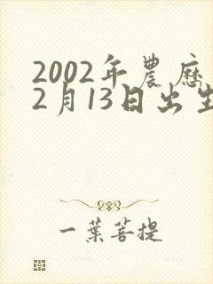 2002年农历2月13日出生的男孩命运