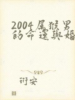 2004属猴男的命运与婚姻