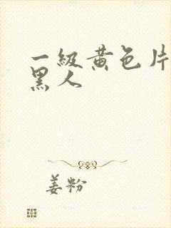 一级黄色片在线黑人