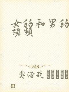 女的和男的啪的视频