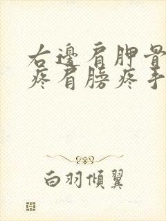 右边肩胛骨里面疼肩膀疼手麻