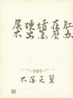 屎硬堵在肛门拉不出怎么办