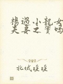 杨过小龙女有过夫妻之实吗