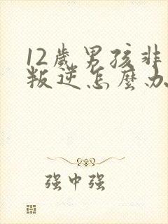 12岁男孩非常叛逆怎么办