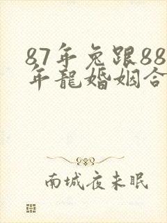 87年兔跟88年龙婚姻合吗