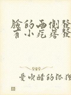 脸的两侧发红还有小疙瘩发痒