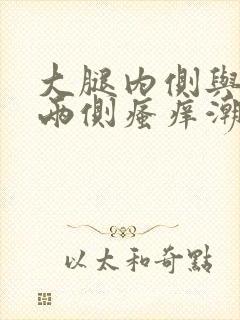 大腿内侧与阴囊两侧瘙痒潮湿发白封面