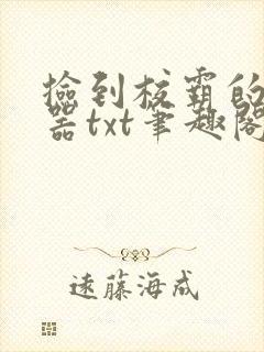 捡到校霸的遥控器txt笔趣阁