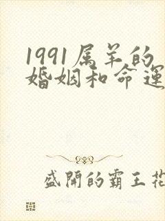 1991属羊的婚姻和命运女