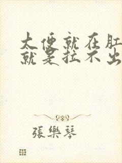 大便就在肛门口就是拉不出来怎么办