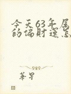 今天63年属兔的偏财运怎么样