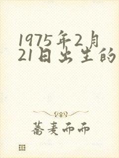 1975年2月21日出生的人命运
