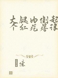 大腿内侧起了几个红疙瘩很痒