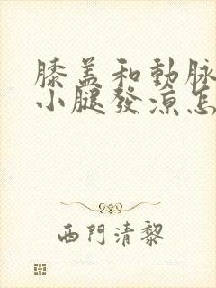 膝盖和动脉闭塞小腿发凉怎么回事