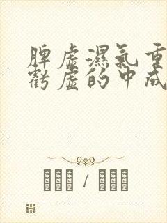 脾虚湿气重肾精亏虚的中成药