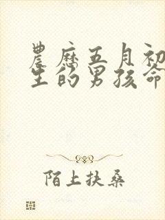 农历五月初四出生的男孩命运如何