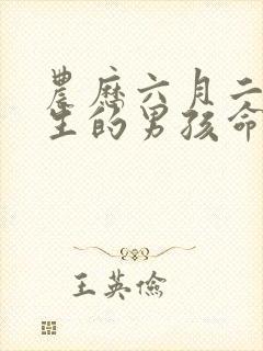 农历六月二十出生的男孩命运封面