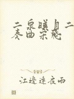 二泉映月二胡独奏曲宋飞