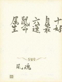 属鼠六月十六出生命运最好