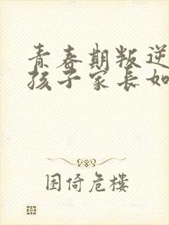 青春期叛逆期男孩子家长如何沟通封面