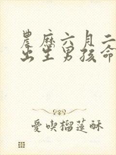 农历六月二十二出生男孩命