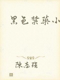 黑色禁药小说