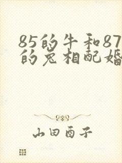 85的牛和87的兔相配婚姻如何