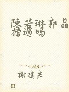 陈若琳郭晶晶搭档过吗