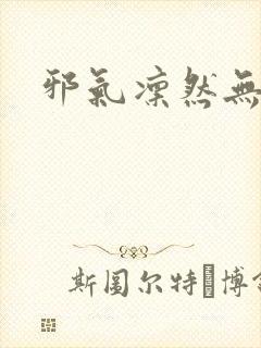 邪气凛然无弹窗