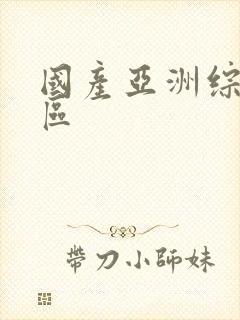 国产亚洲综合二区