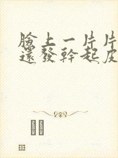 脸上一片片红的还发干起皮