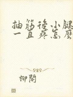 抽筋后小腿肌肉一直疼怎么缓解