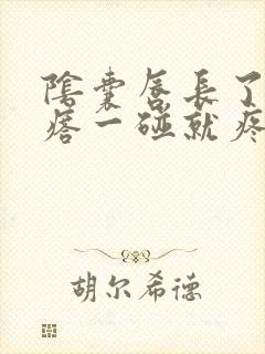 阴囊唇长了个疙瘩一碰就疼又痒