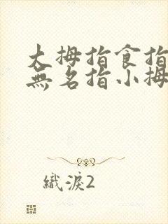 大拇指食指中指无名指小拇指